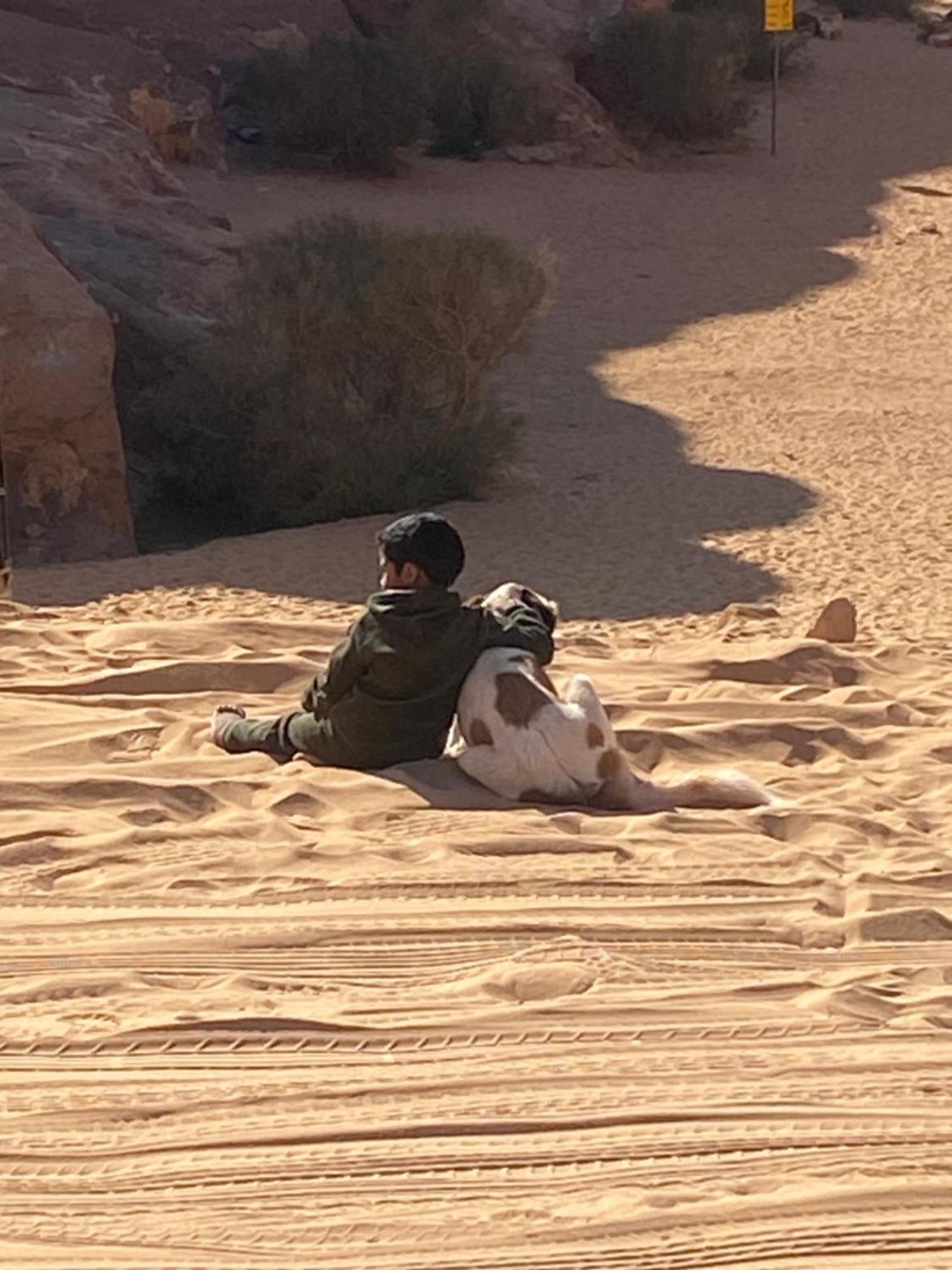 Wadi Rum Bedouin Heart Camp Exteriör bild