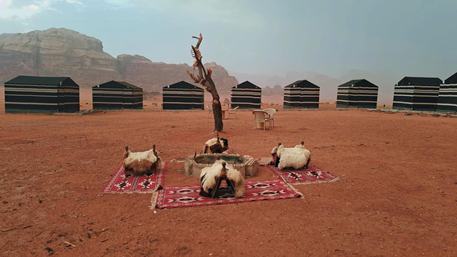 Wadi Rum Bedouin Heart Camp Exteriör bild